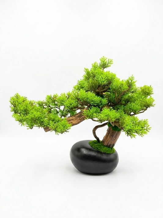Mountain Peak Bonsai Tree