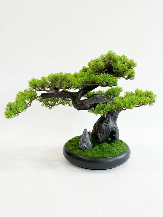 Green Forest Bonsai Tree